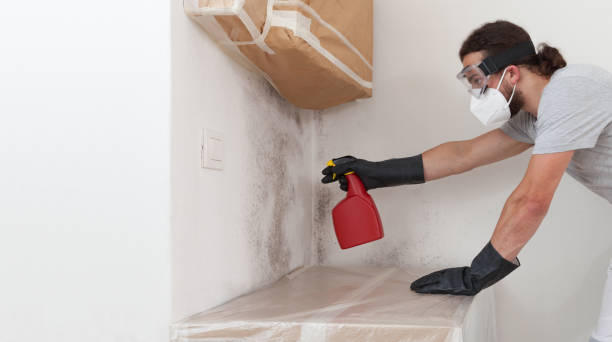 Professional Commercial Mold Remediation technician working in Thompsonville, MI