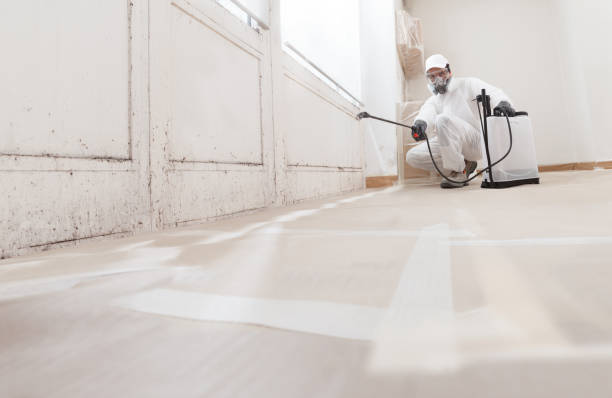 24/7 Emergency Commercial Mold Remediation experts in Thompsonville, MI