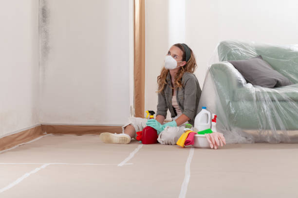 Reliable Commercial Mold Remediation contractor in Thompsonville, MI by WQB Mold Removal