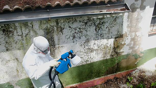 Top rated local Commercial Mold Remediation specialists in Thompsonville, MI